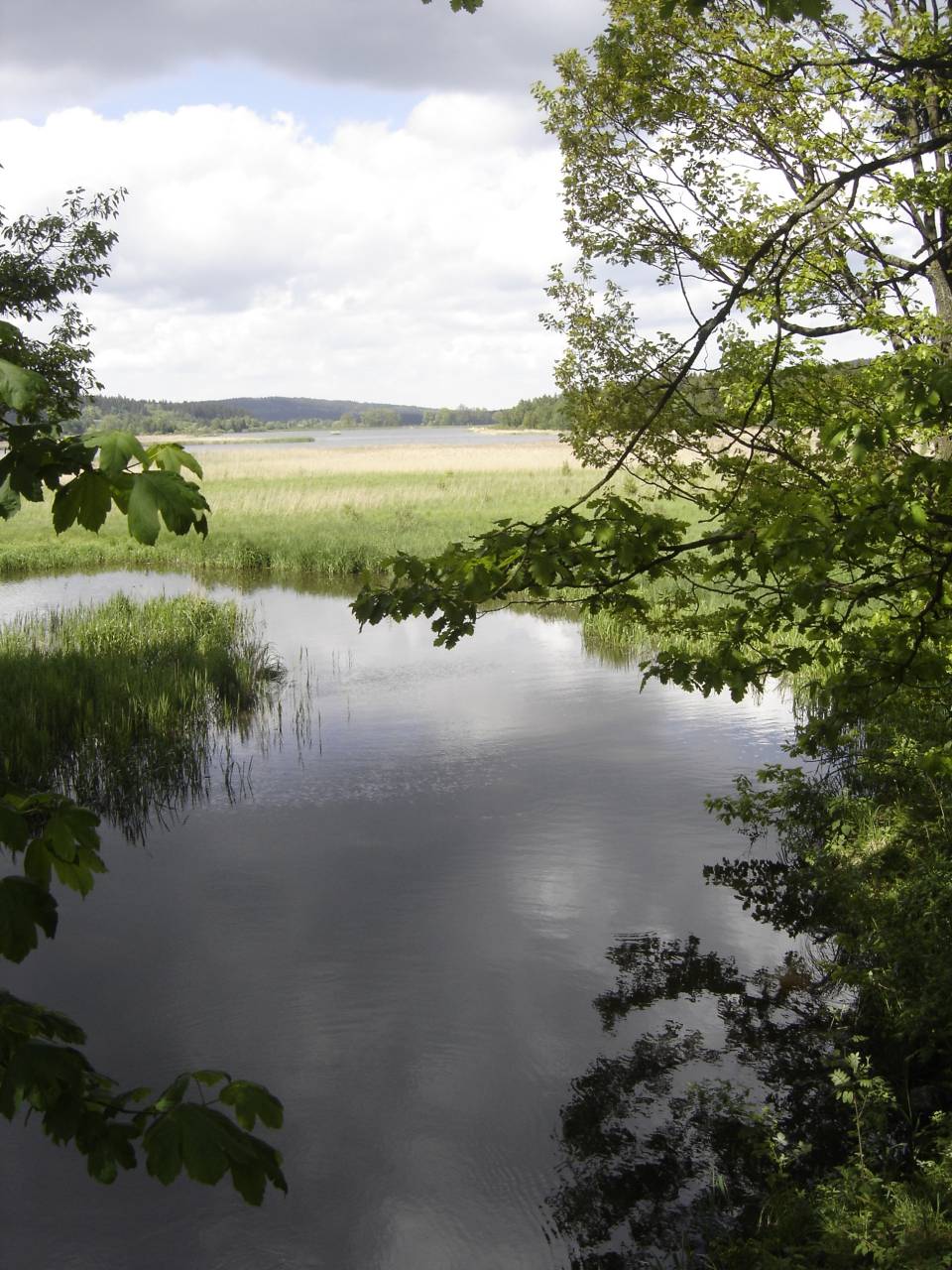 Brdy071.jpg