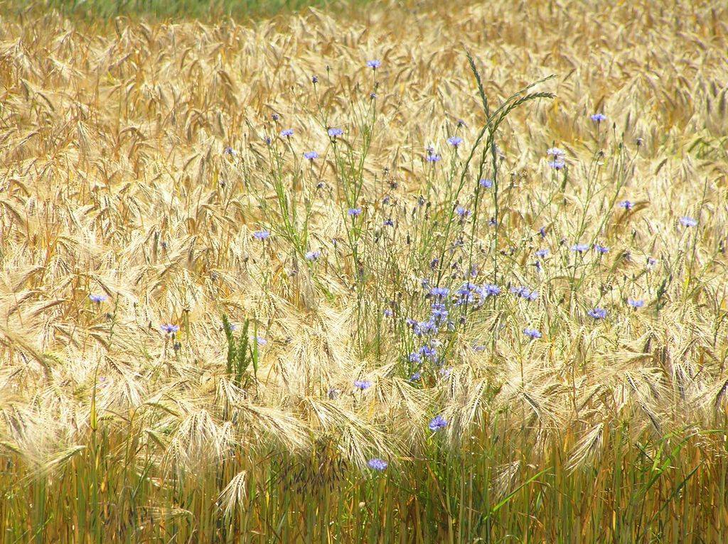 PetrovaBouda-0211.jpg