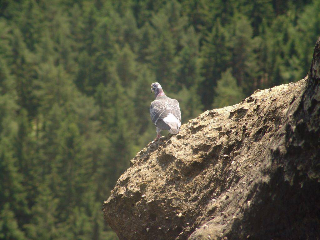 PetrovaBouda-0974.jpg