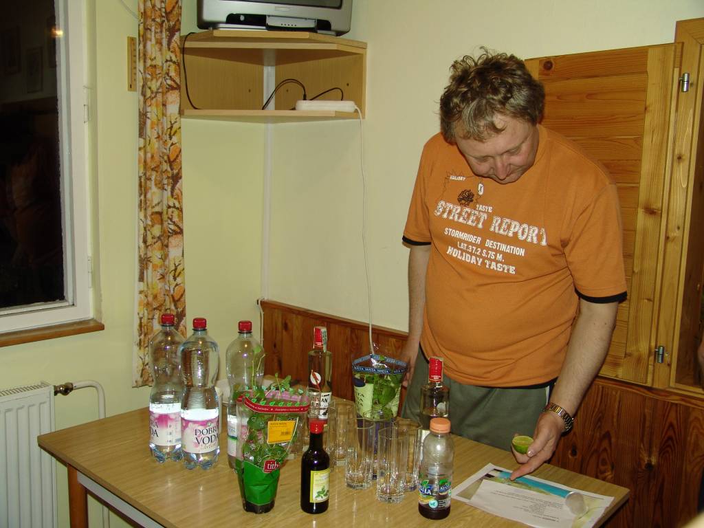 Vilemina0939.jpg