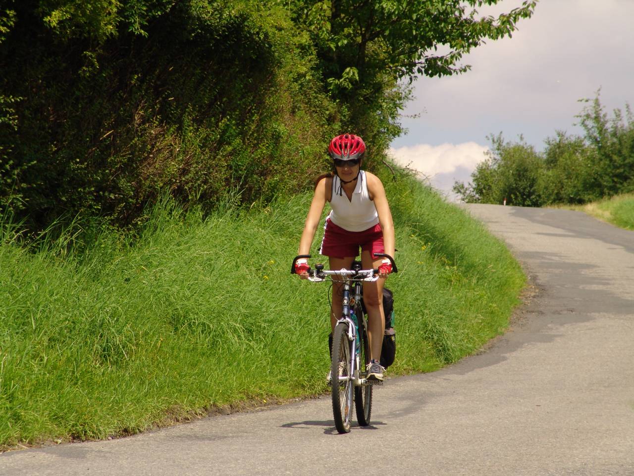 Jindrichovice2010.jpg