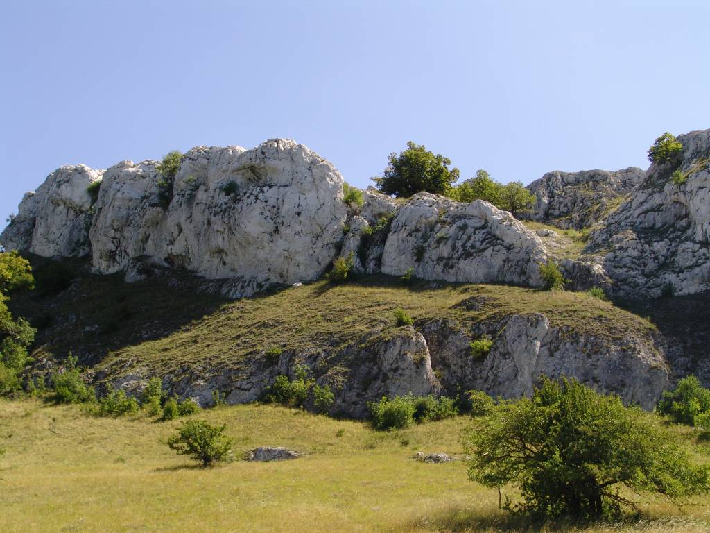 Palava-0098.jpg