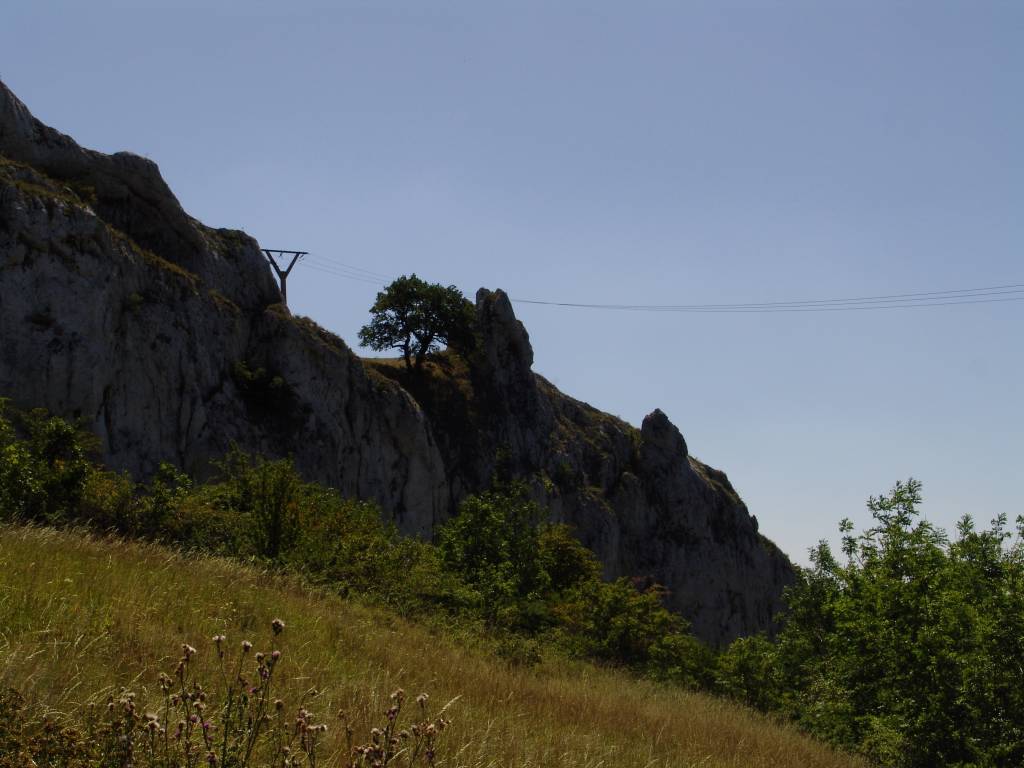 Palava-0100.jpg