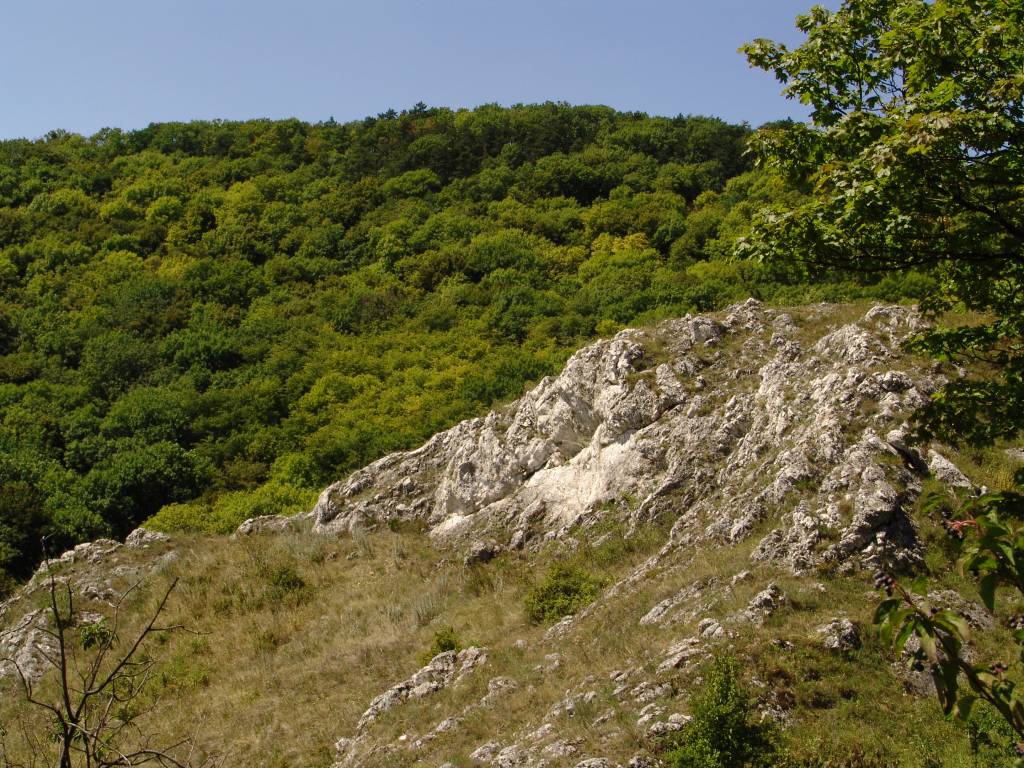 Palava-0130.jpg