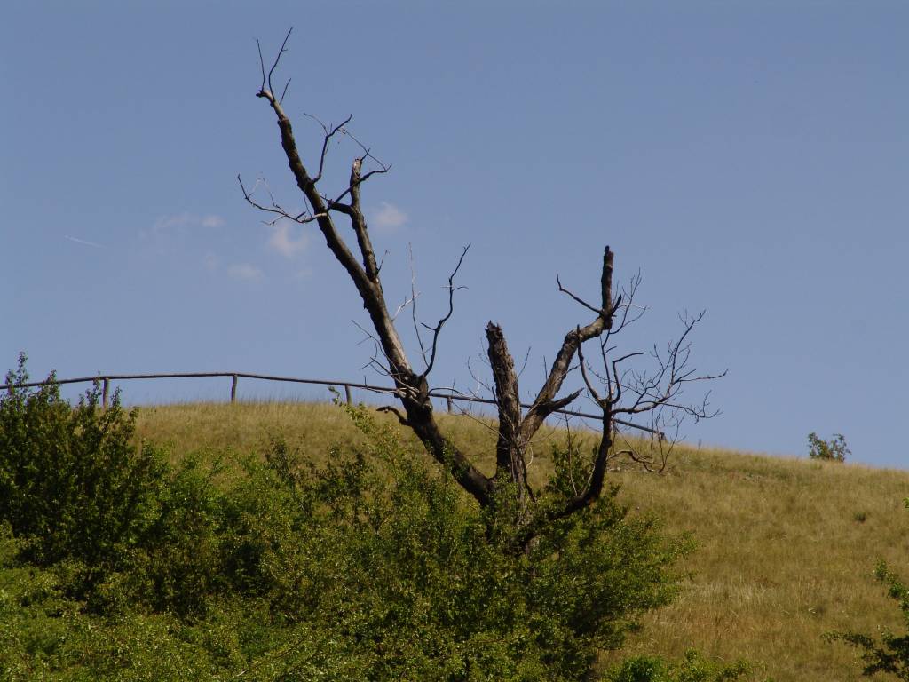 Palava-0158.jpg