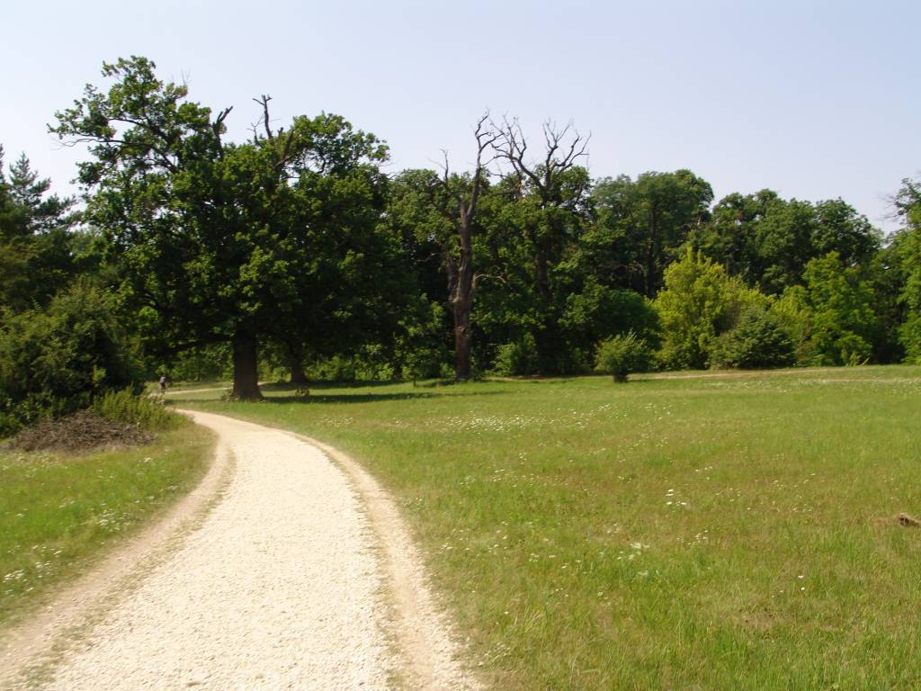 Palava-0992.jpg