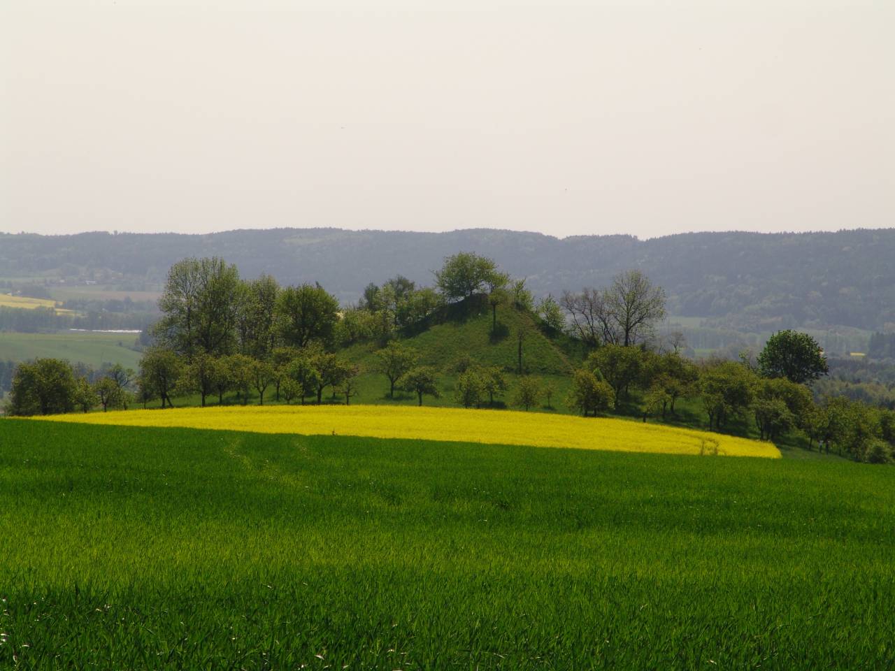 Pecka358.jpg