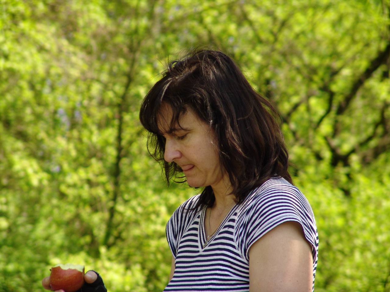 Pecka487.jpg