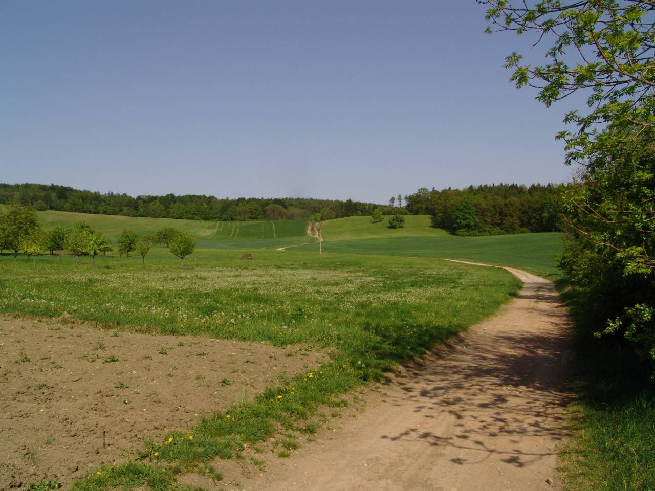 Pecka540.jpg