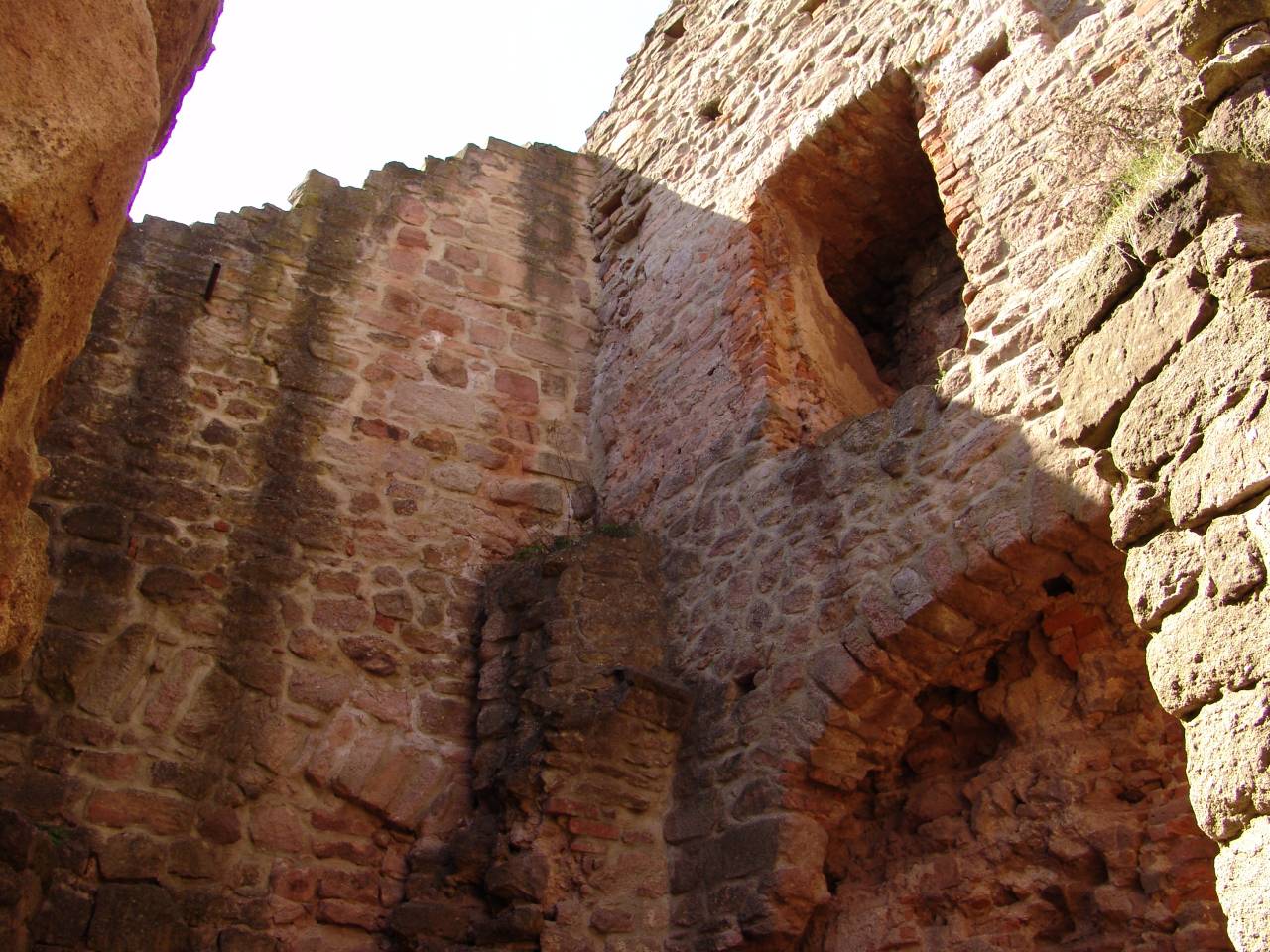 Pecka647.jpg