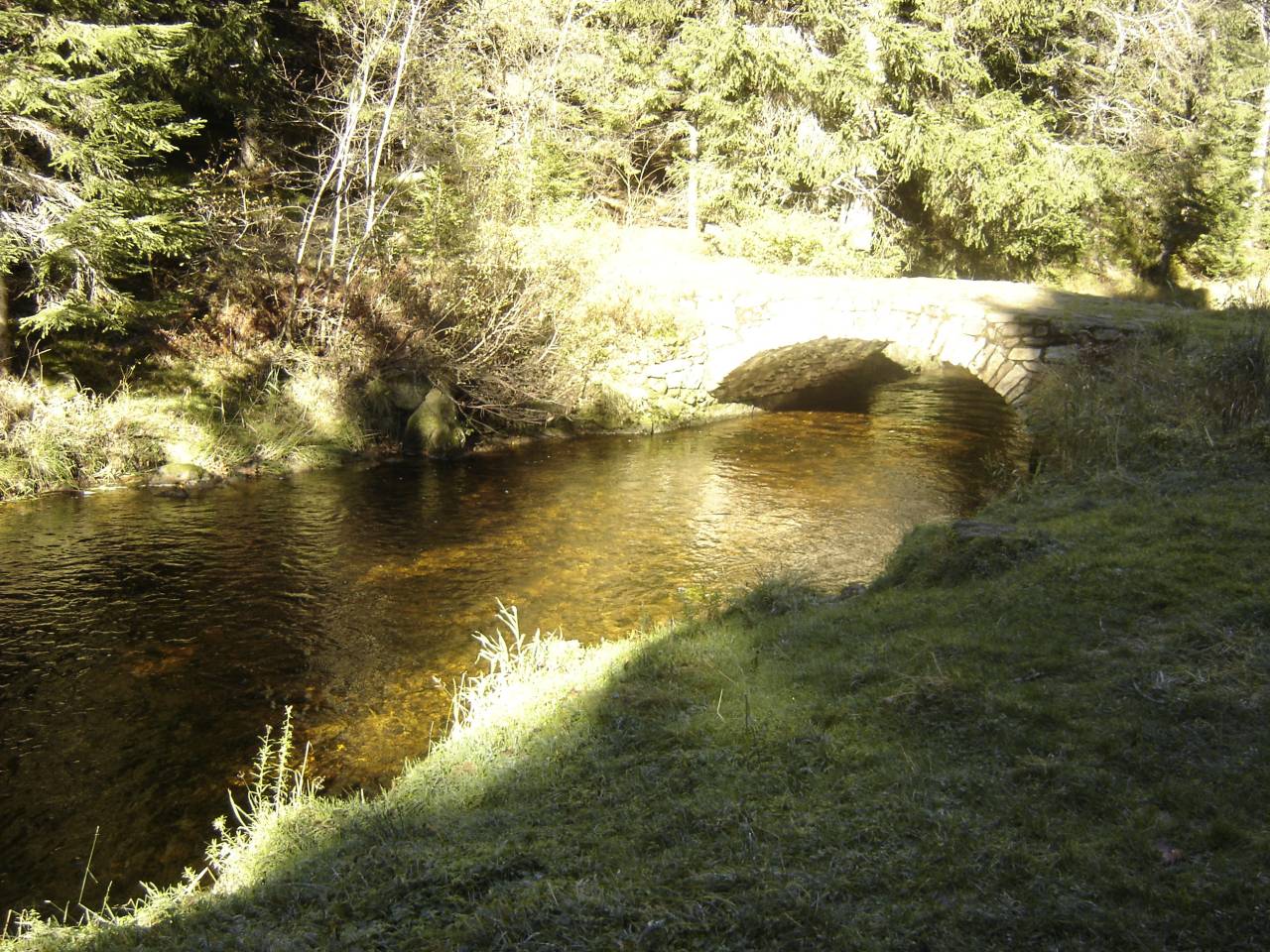 DSC01133.jpg