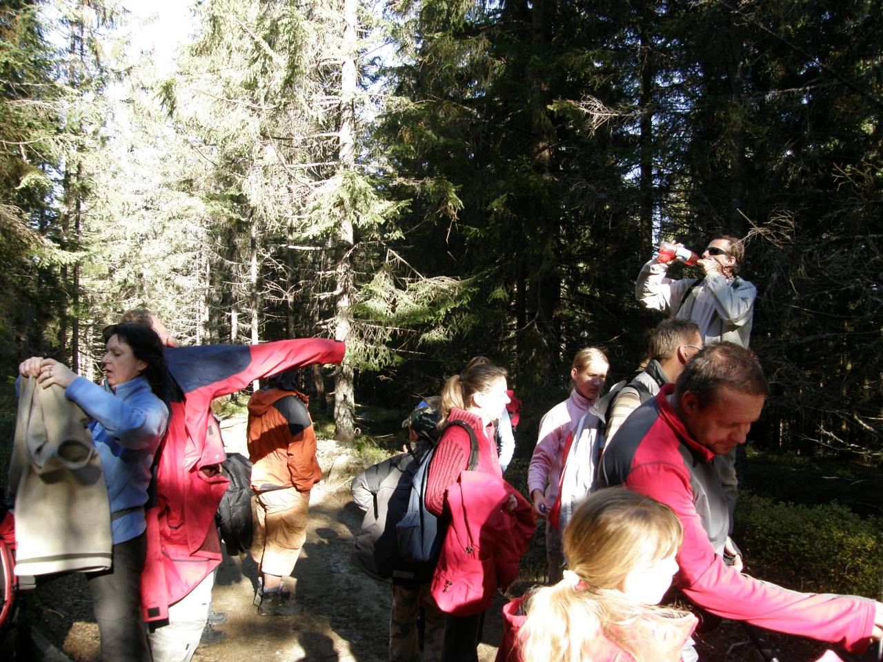PA264617.jpg