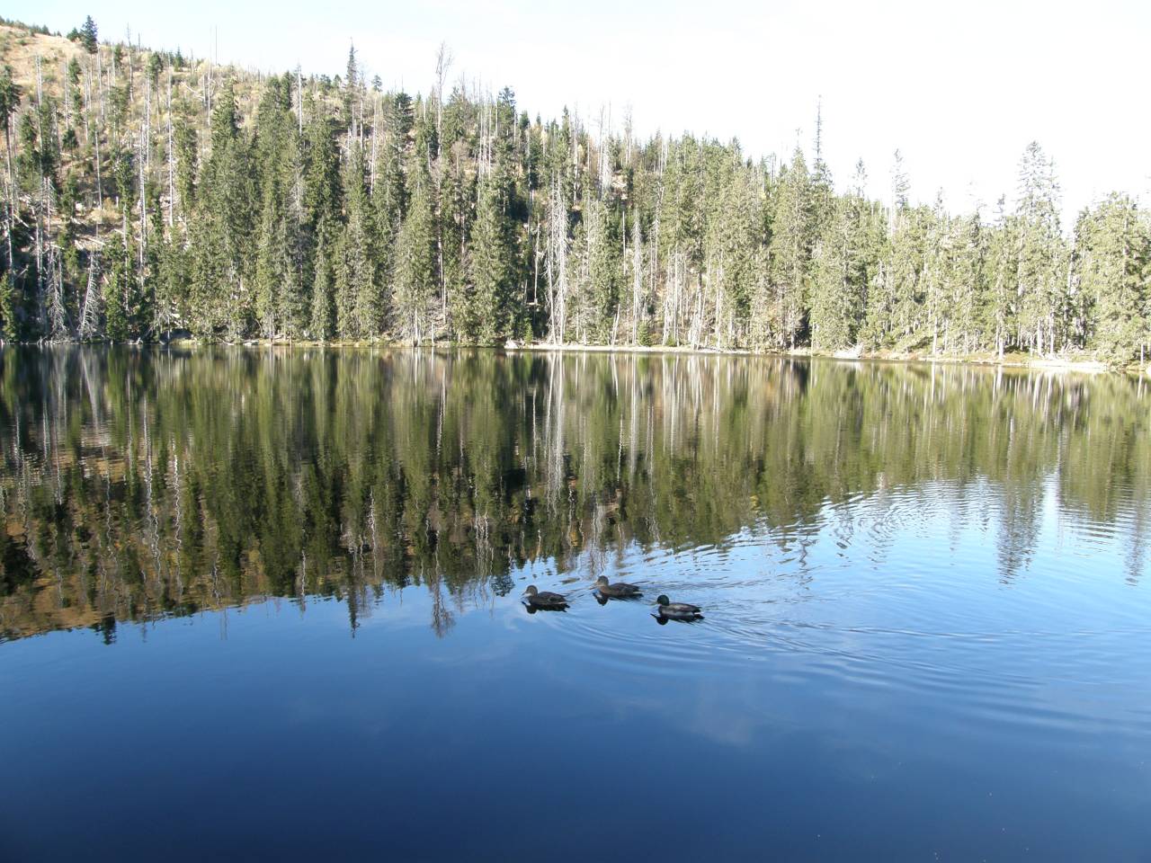 PA264620.jpg