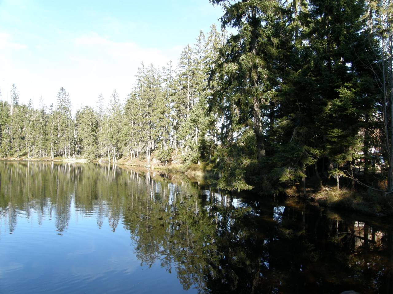PA264621.jpg