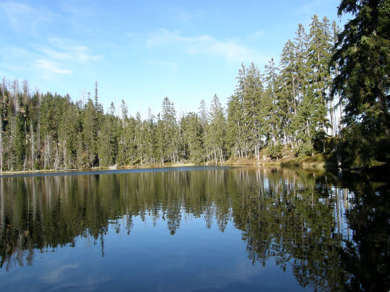 PA264623.jpg