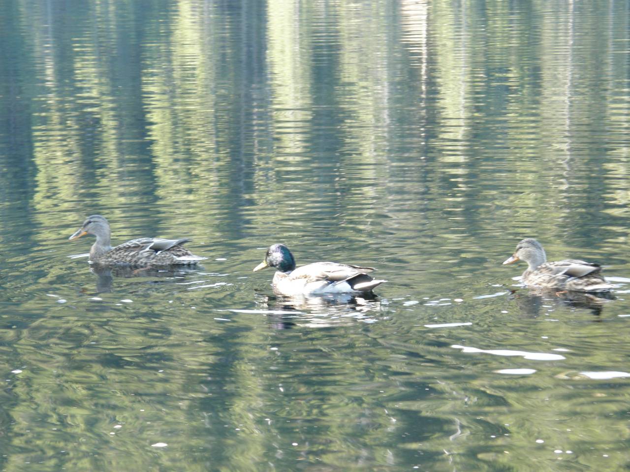 PA264628.jpg