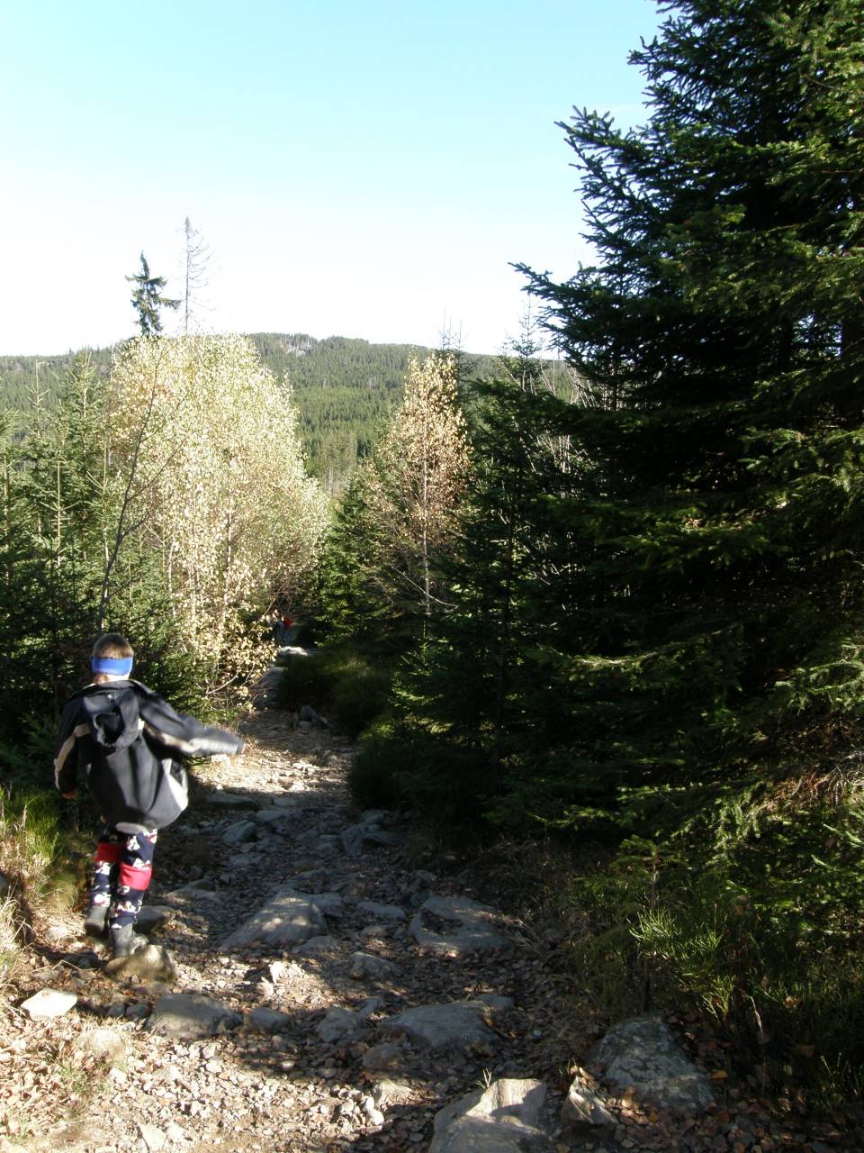 PA264640.jpg