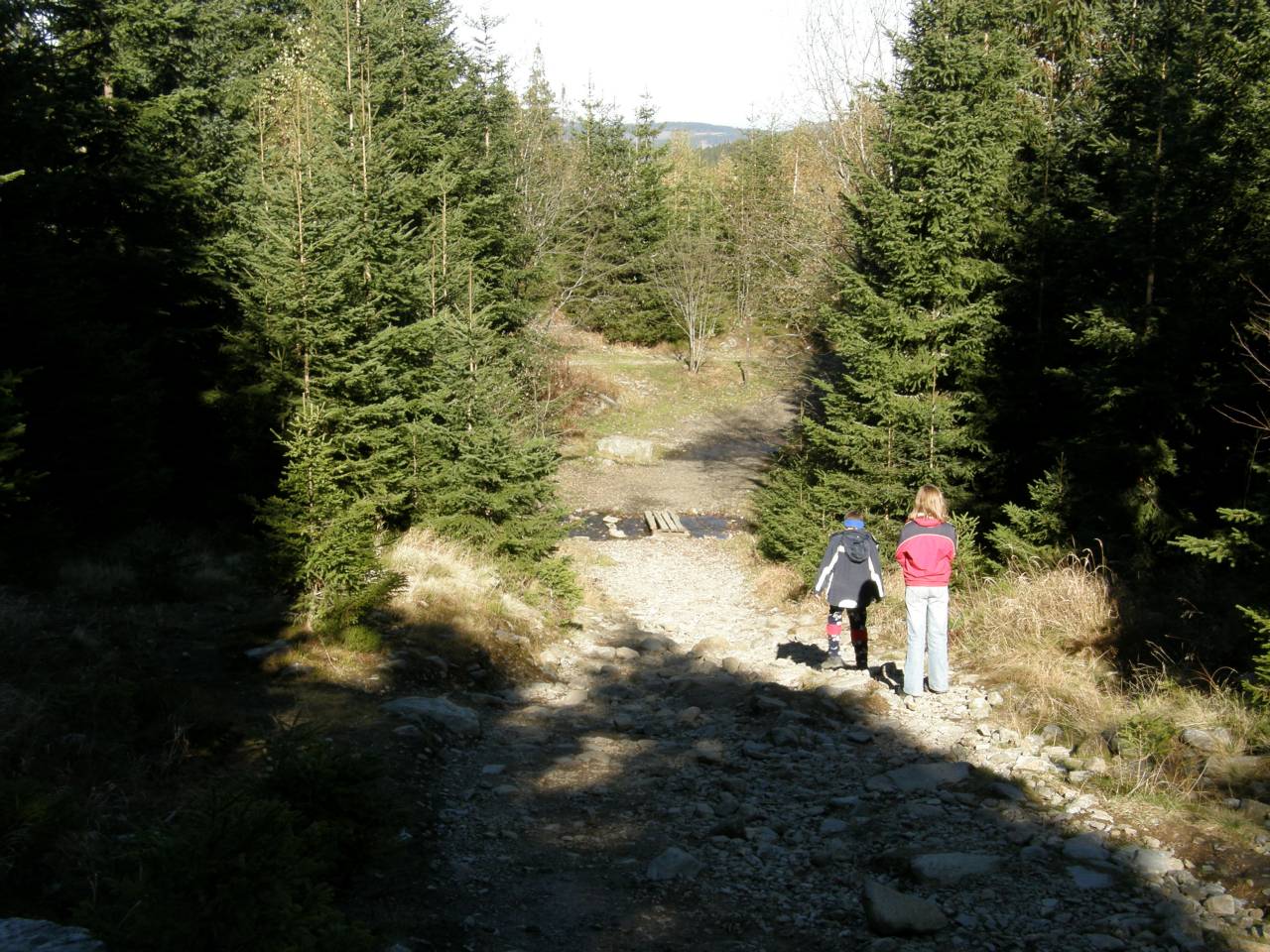PA264642.jpg