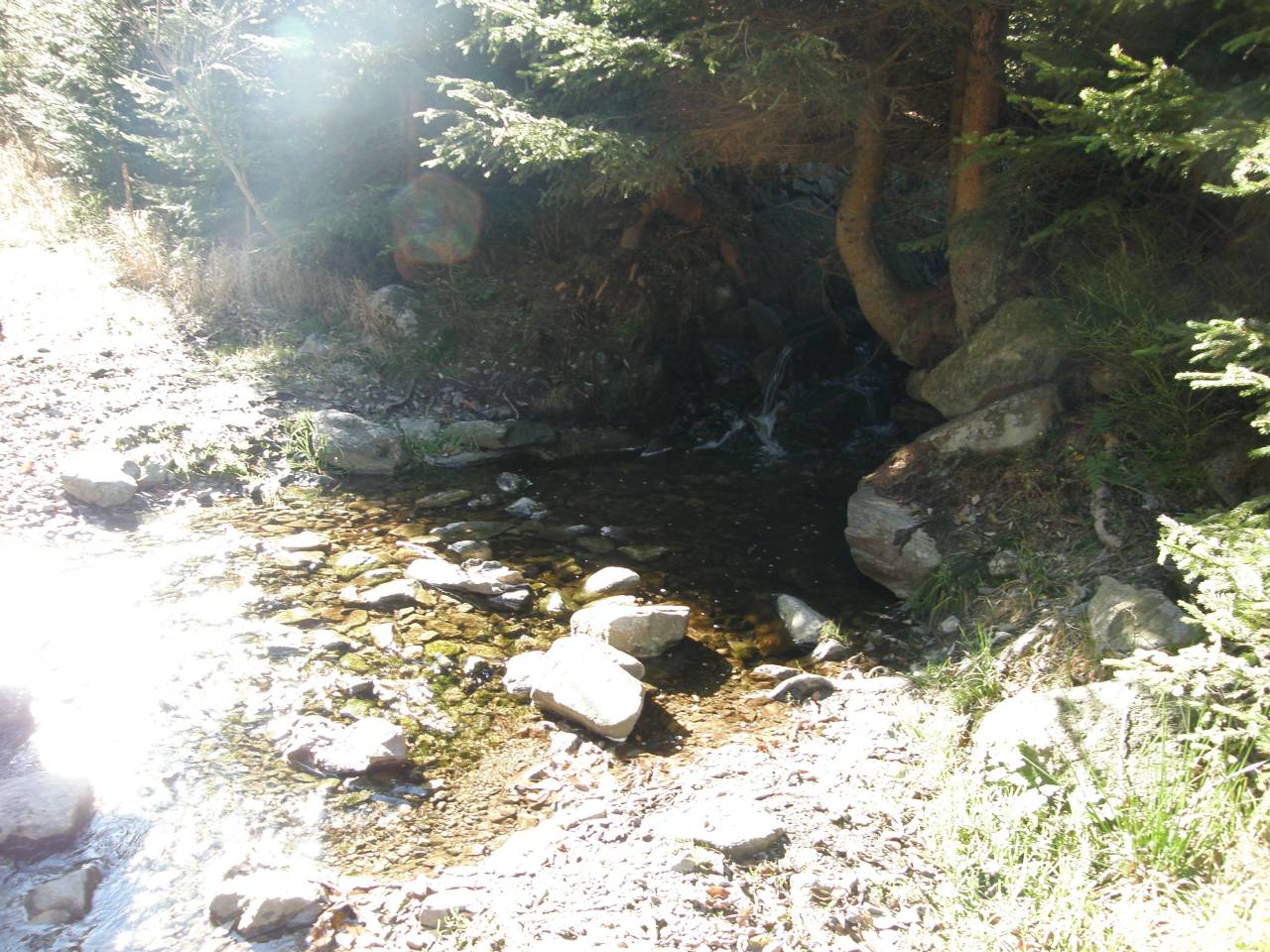 PA264644.jpg