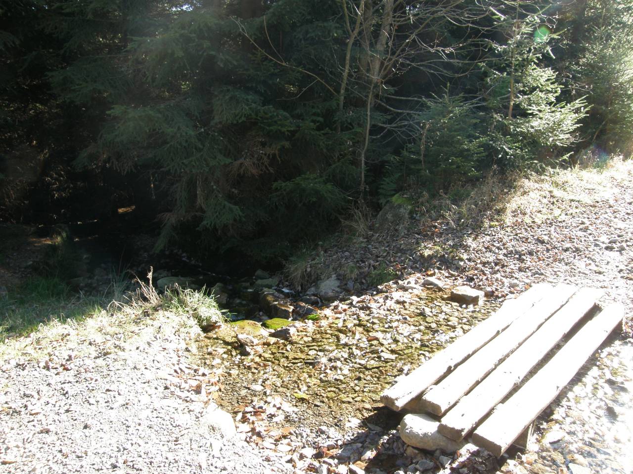PA264645.jpg
