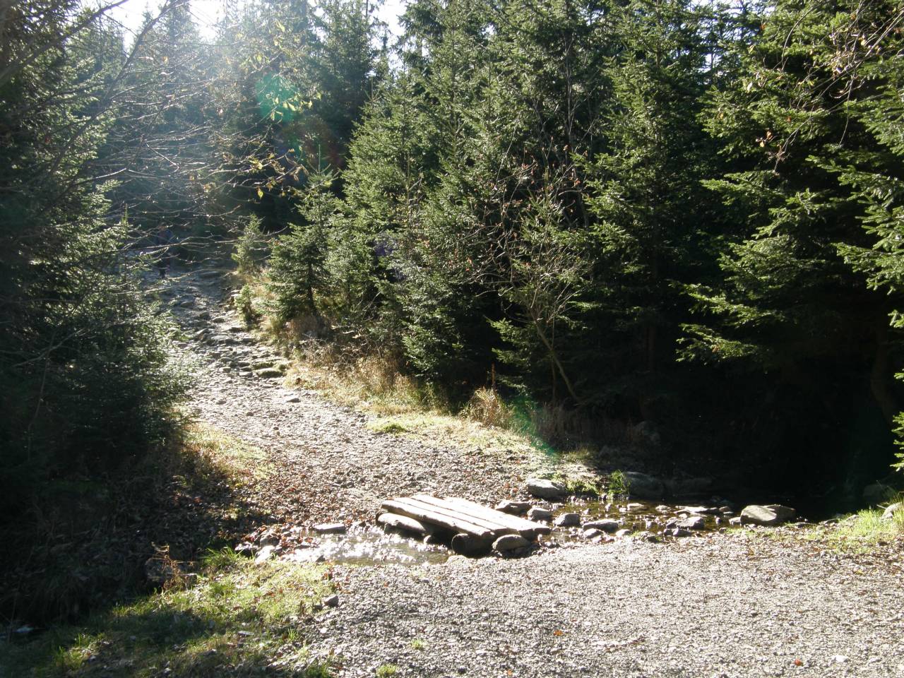 PA264650.jpg