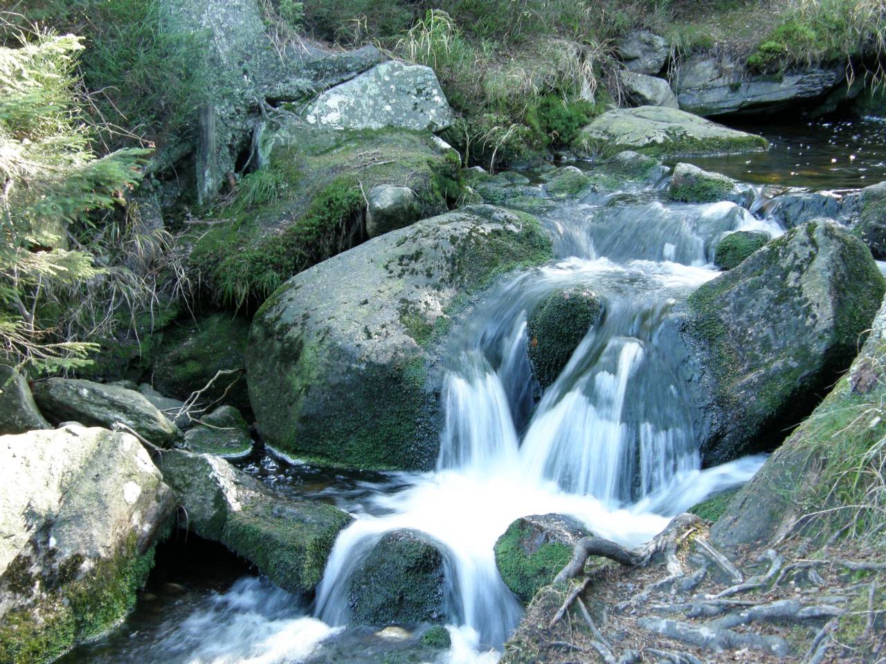 PA264659.jpg