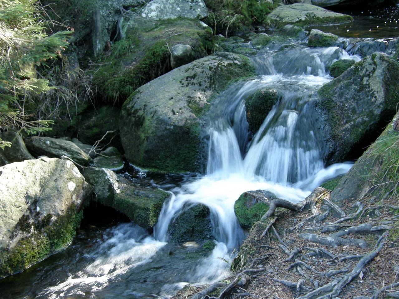 PA264661.jpg