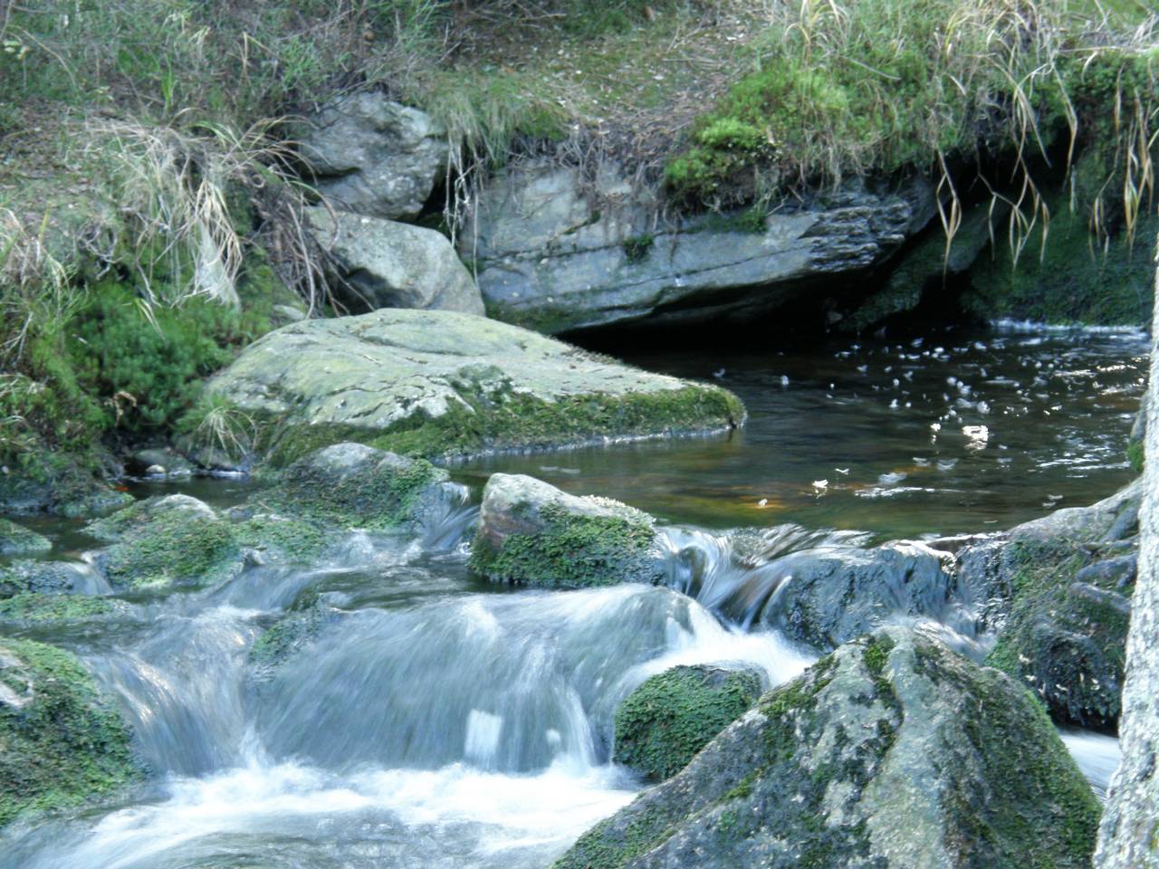 PA264662.jpg