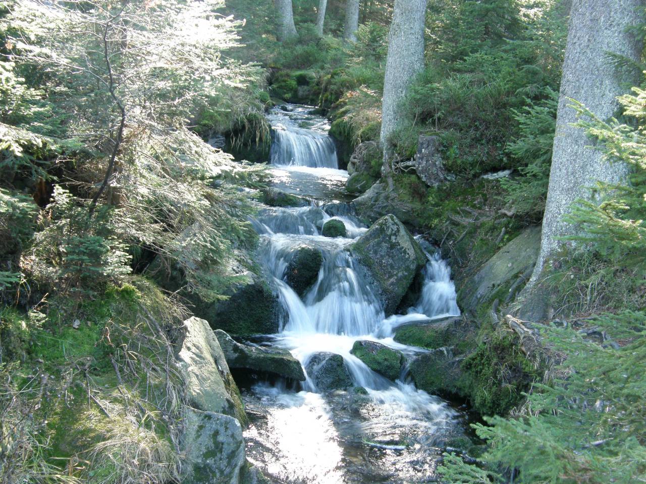 PA264663.jpg