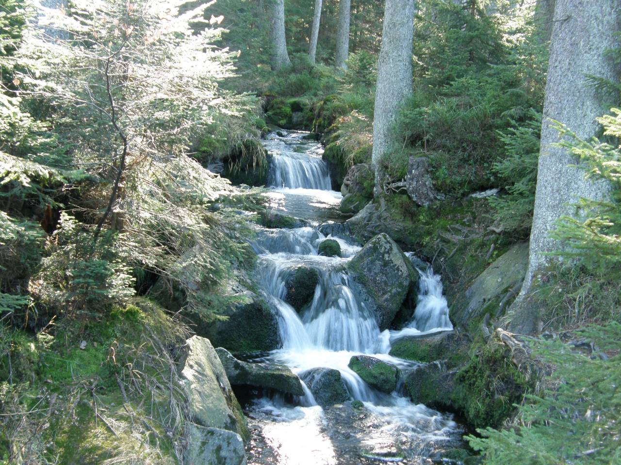 PA264665.jpg
