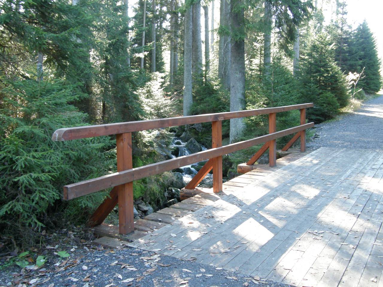 PA264667.jpg