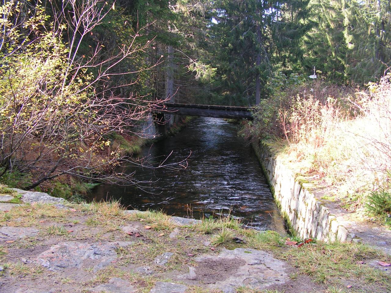 PICT6778.jpg
