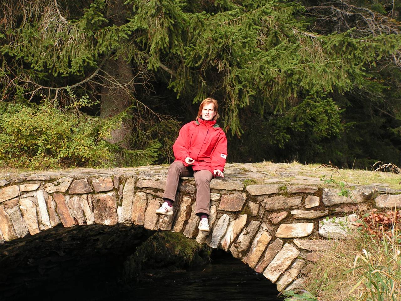 PICT6791.jpg