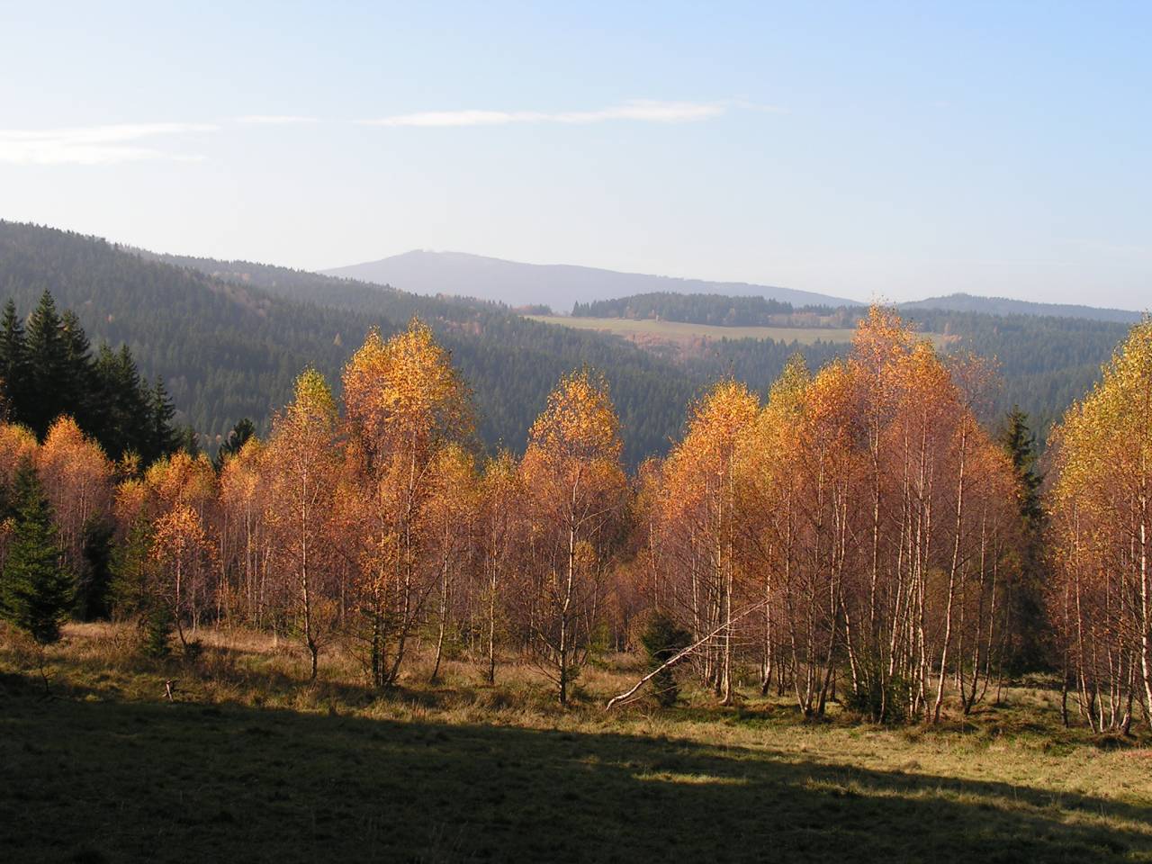 PICT6801.jpg
