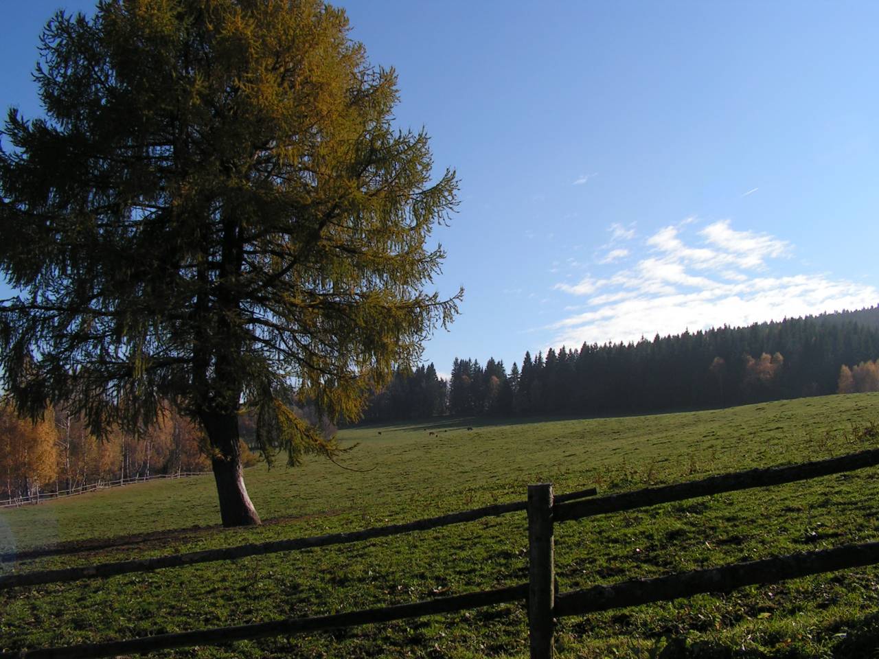 PICT6805.jpg