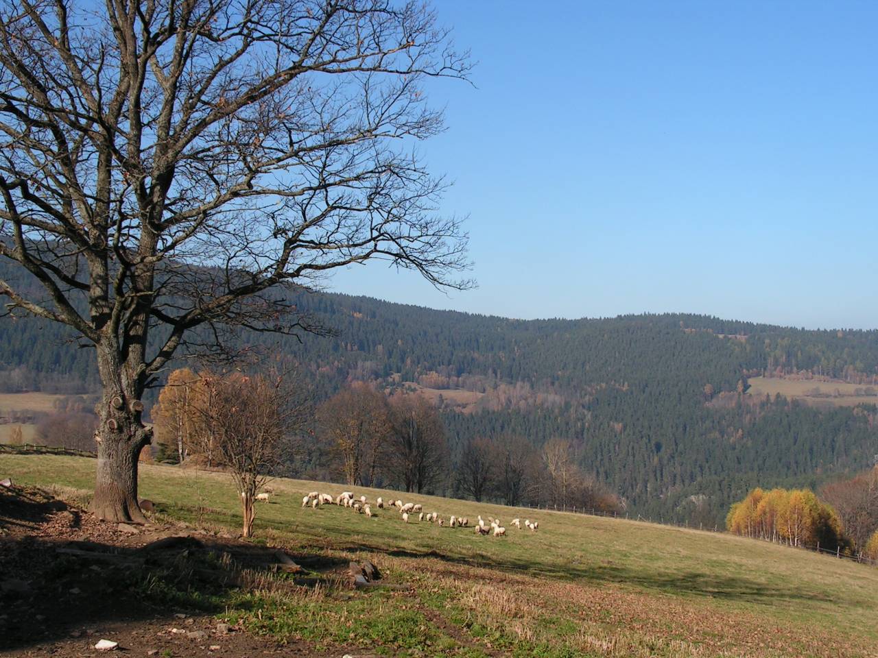 PICT6806.jpg