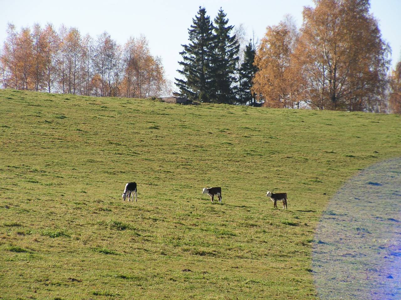 PICT6812.jpg