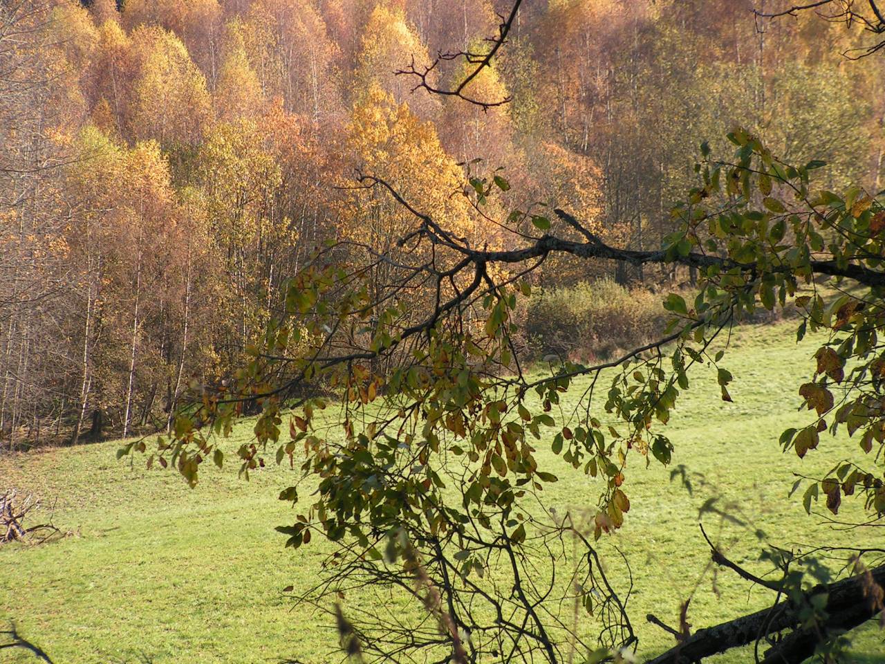 PICT6819.jpg