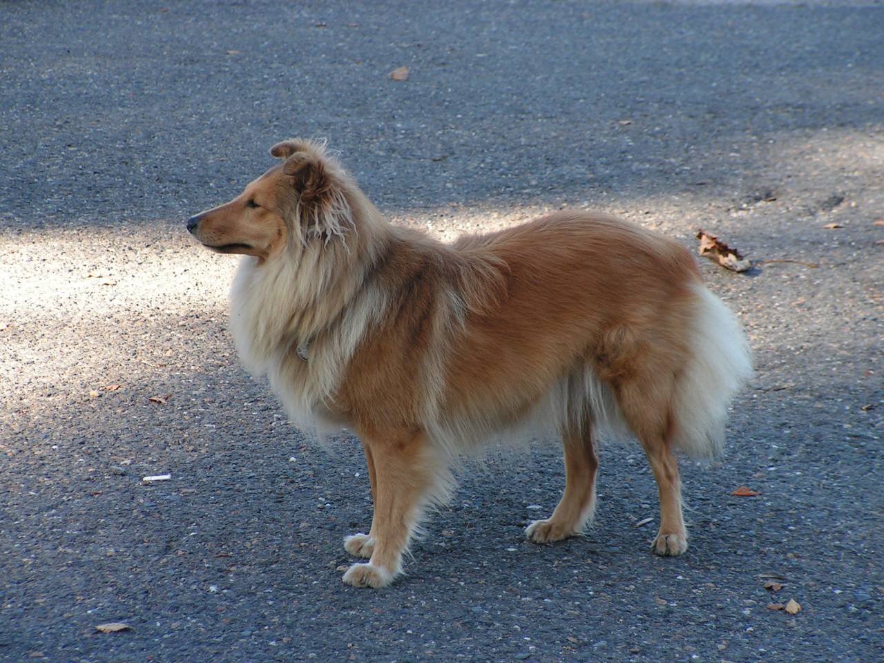 PICT6820.jpg