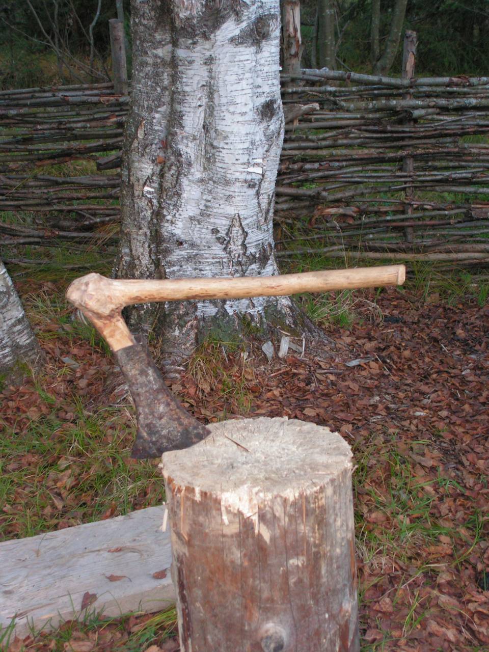 PICT6830.jpg