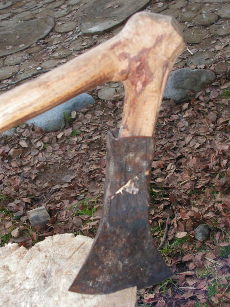 PICT6832.jpg