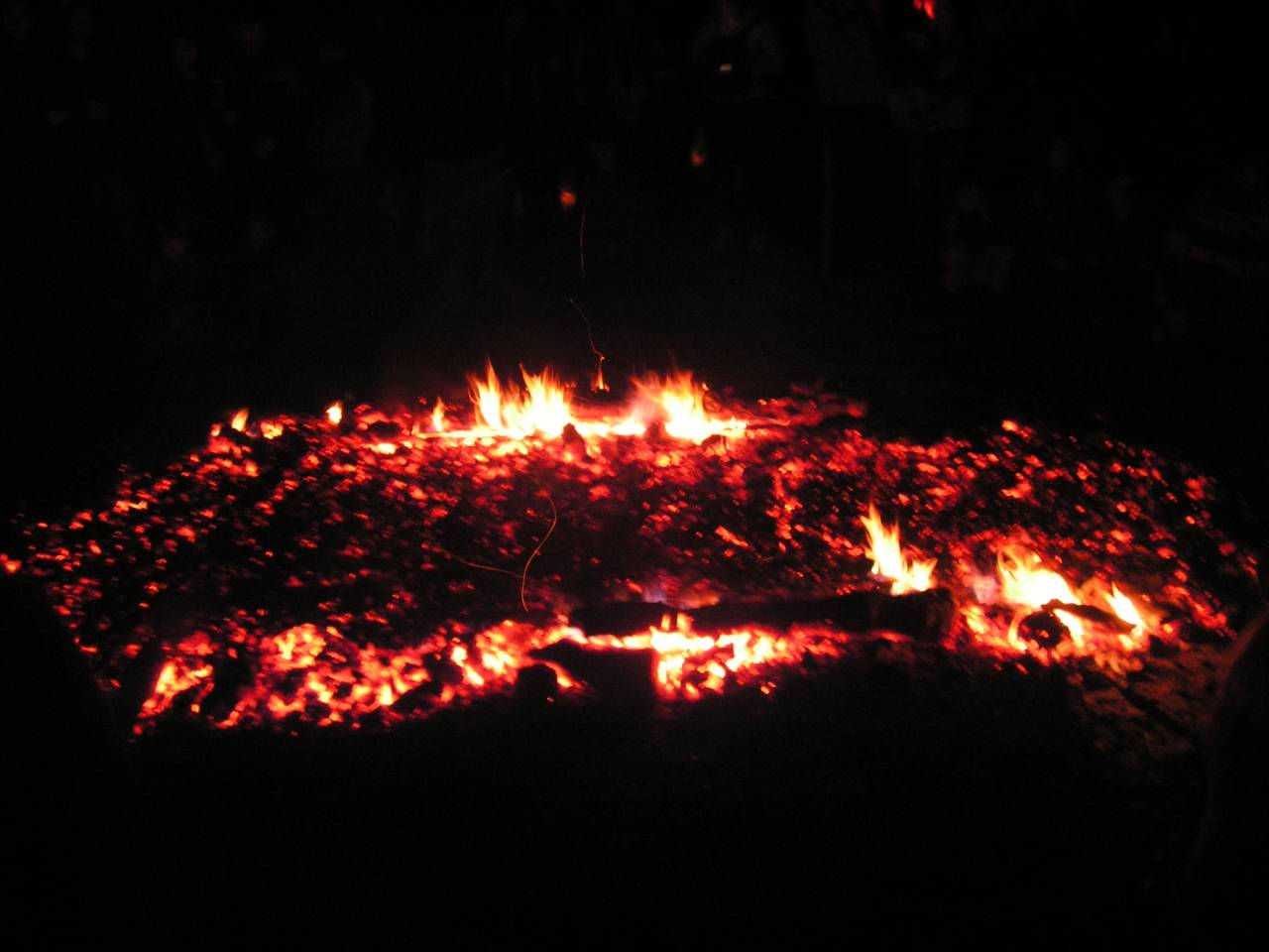 PICT6852.jpg
