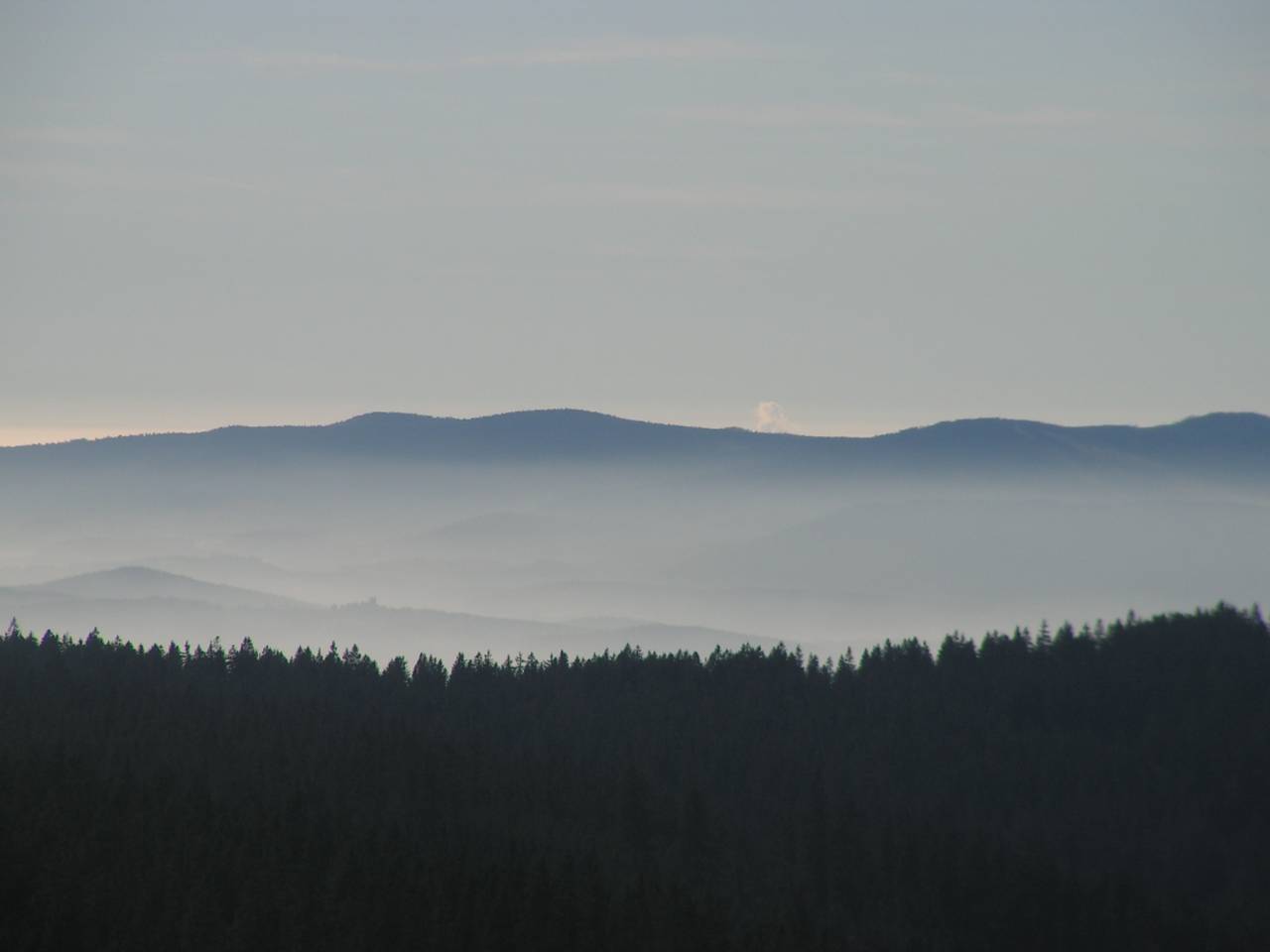 PICT6874.jpg