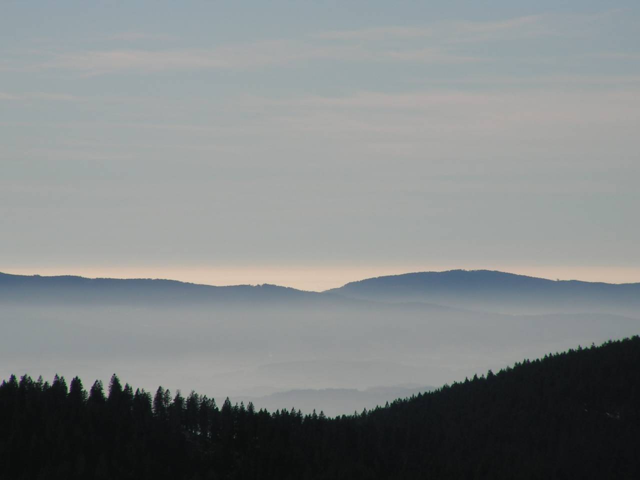 PICT6883.jpg