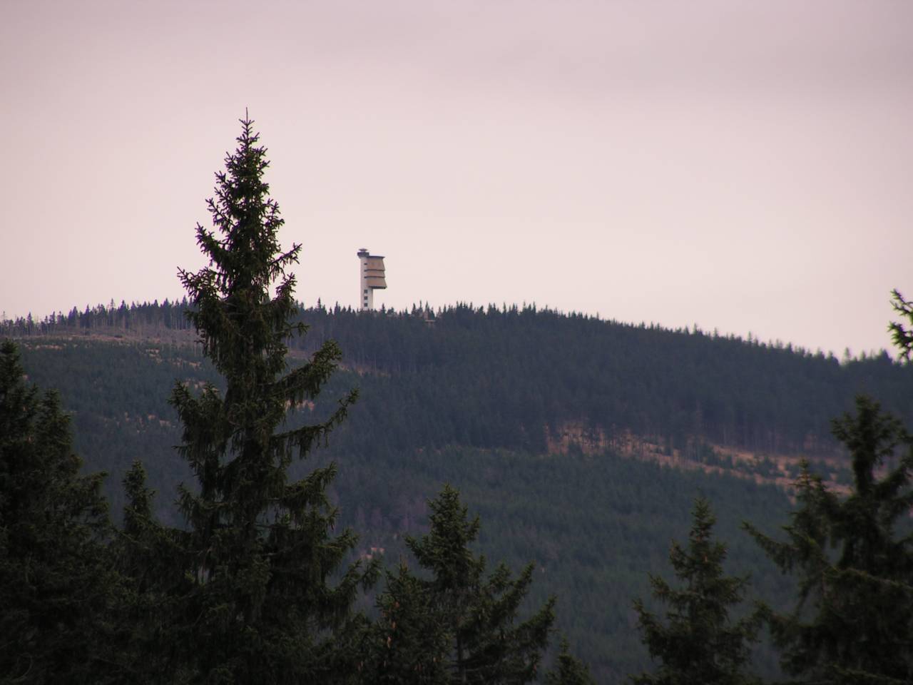 PICT6896.jpg