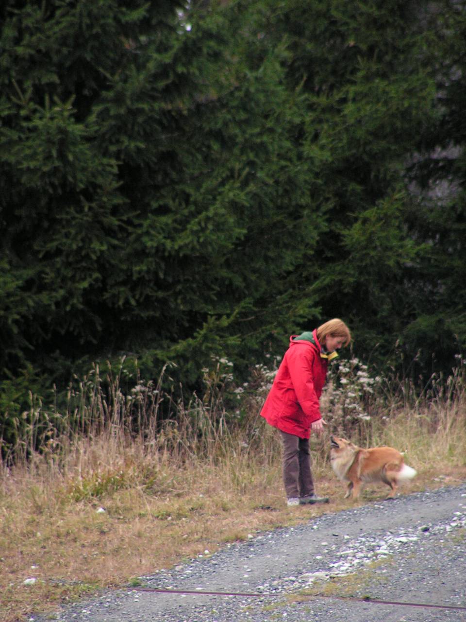 PICT6907.jpg