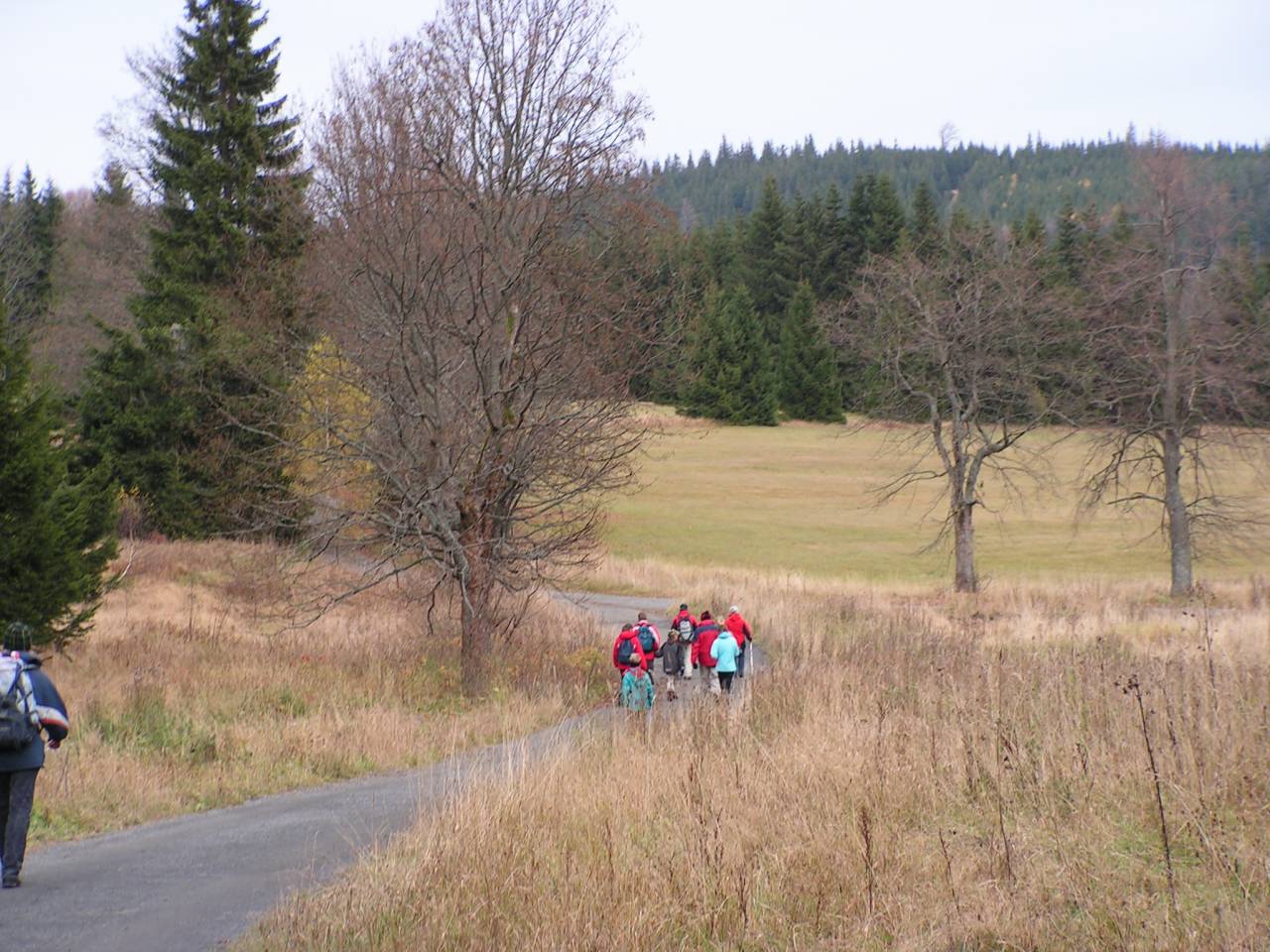 PICT6922.jpg
