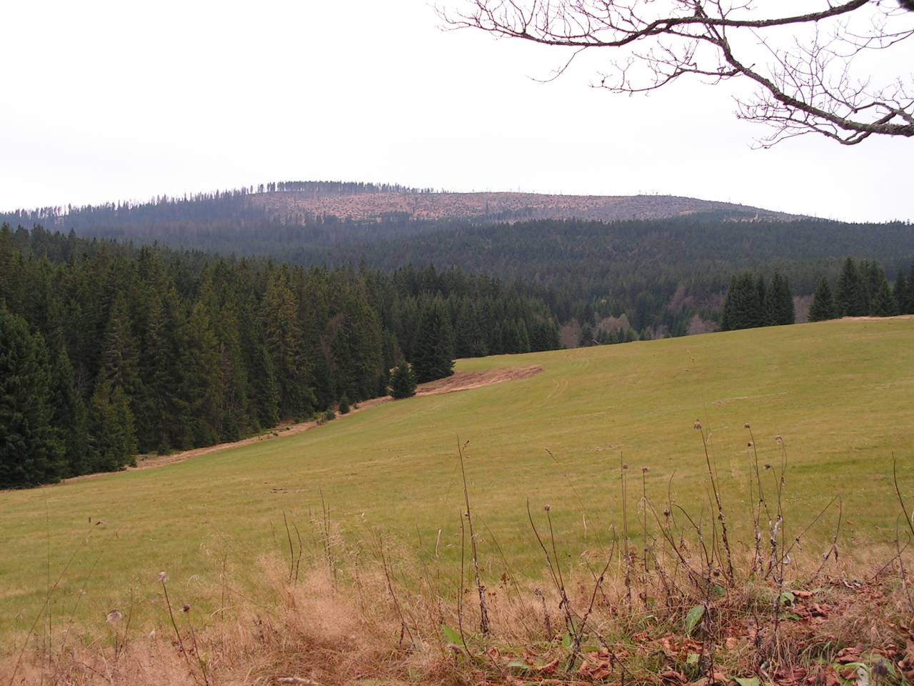 PICT6933.jpg