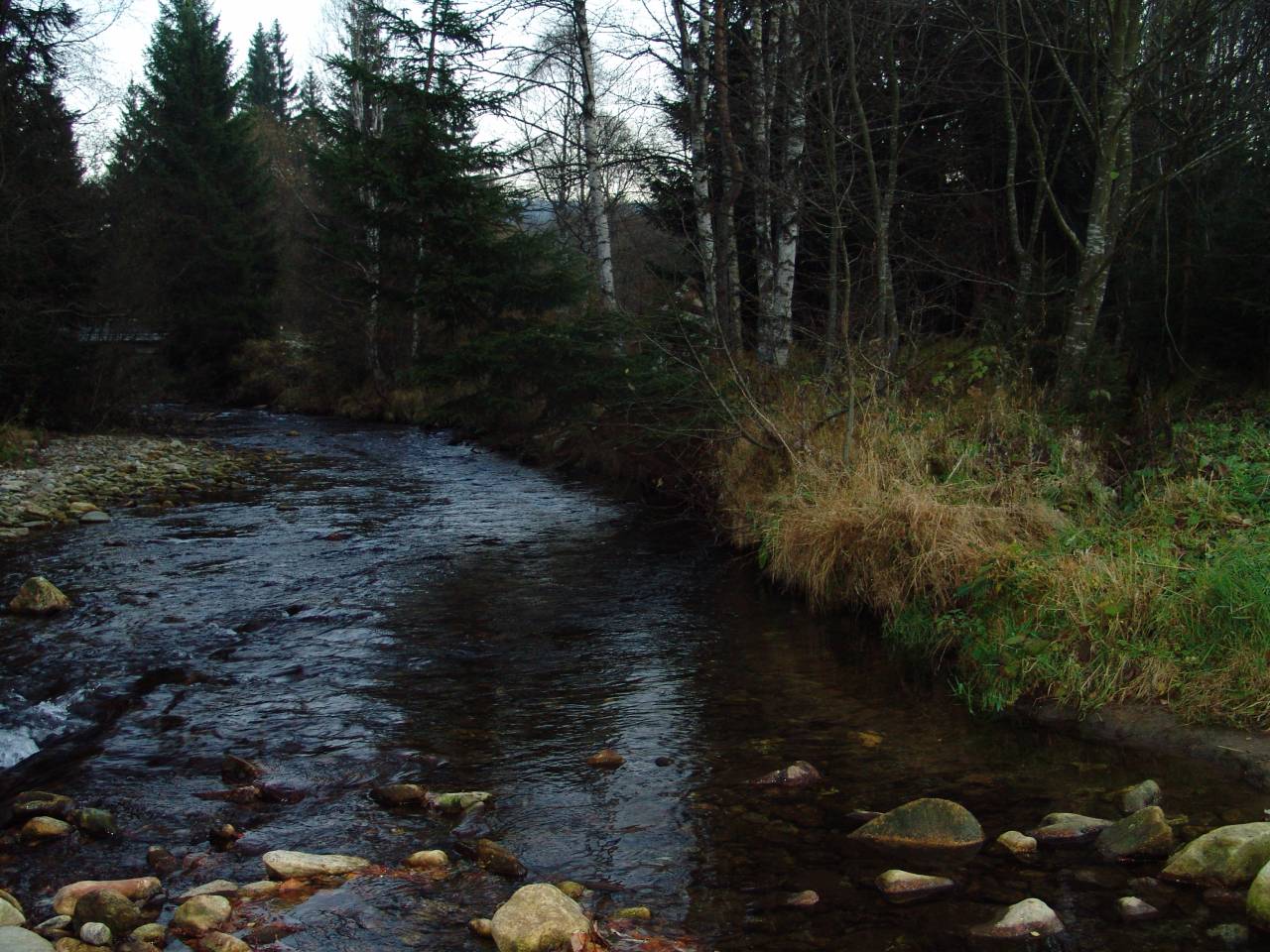 DSC05834.jpg