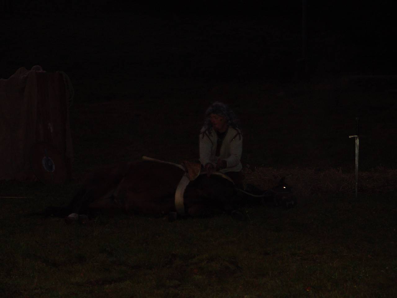 DSC05853.jpg